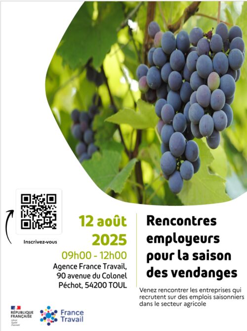 Cliquez pour agrandir l'image