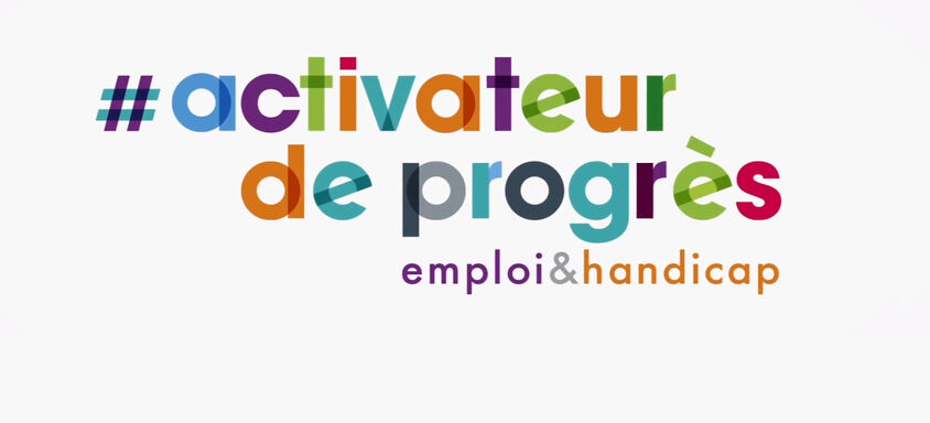 activateur de progres seeph 2019 villers les nancy table ronde maintien dans l'emploi thématique