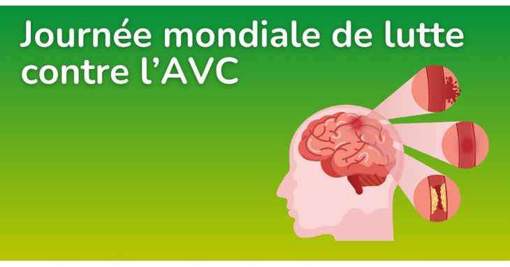 29 octobre 2024 : Journée Mondiale de lutte contre l'AVC - Cap emploi 54
